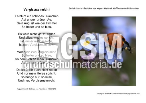 Vergissmeinnicht-Fallersleben.pdf